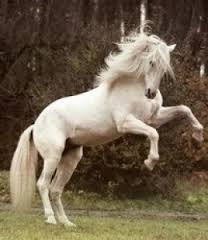 images (7)