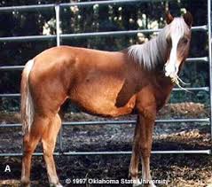 images (9)