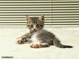 images (11)